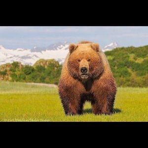 Meet your Posher, Andrew